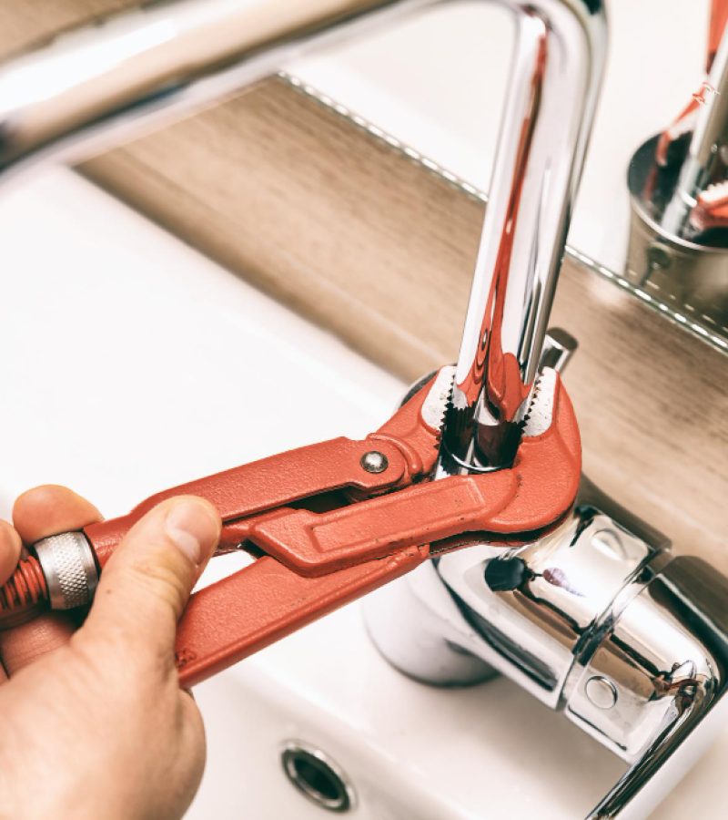 imgpsh_fullsize_anim (9)